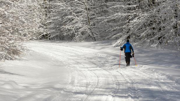 Cross Country Skiing at Allegany State Park