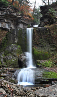 Fillmore Glen