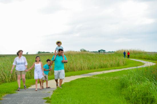 带家人走出室外，探索湿地步行道（Wetland Walkway）。