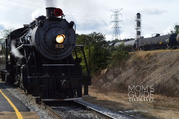 Tennessee Valley Railroad