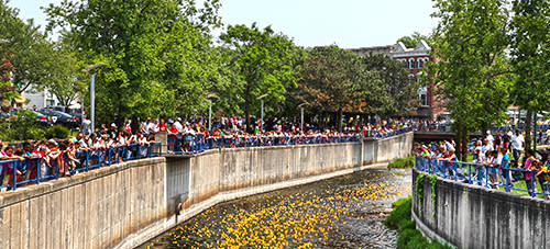 Duck Derby - Memorial Day - Downtown Auburn