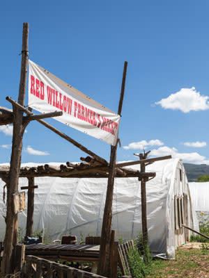 Redwillowcooperative