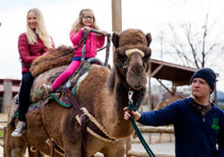 Chattanooga Zoo