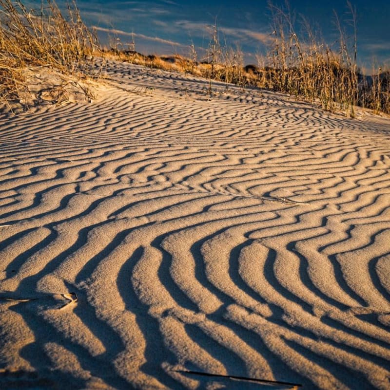 Monahans Sandhills State Park