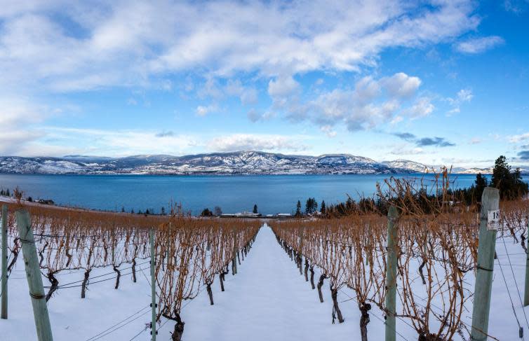 CedarCreek Estate Winery in Winter
