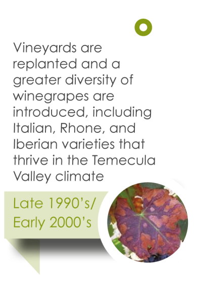 Temecula 1990-2000