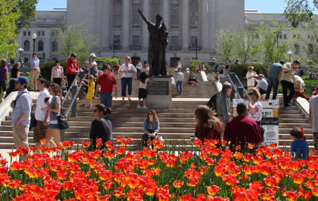 Dane County Farmer’s Market on Capitol