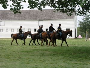 Fort Scott National Historic Site Horses