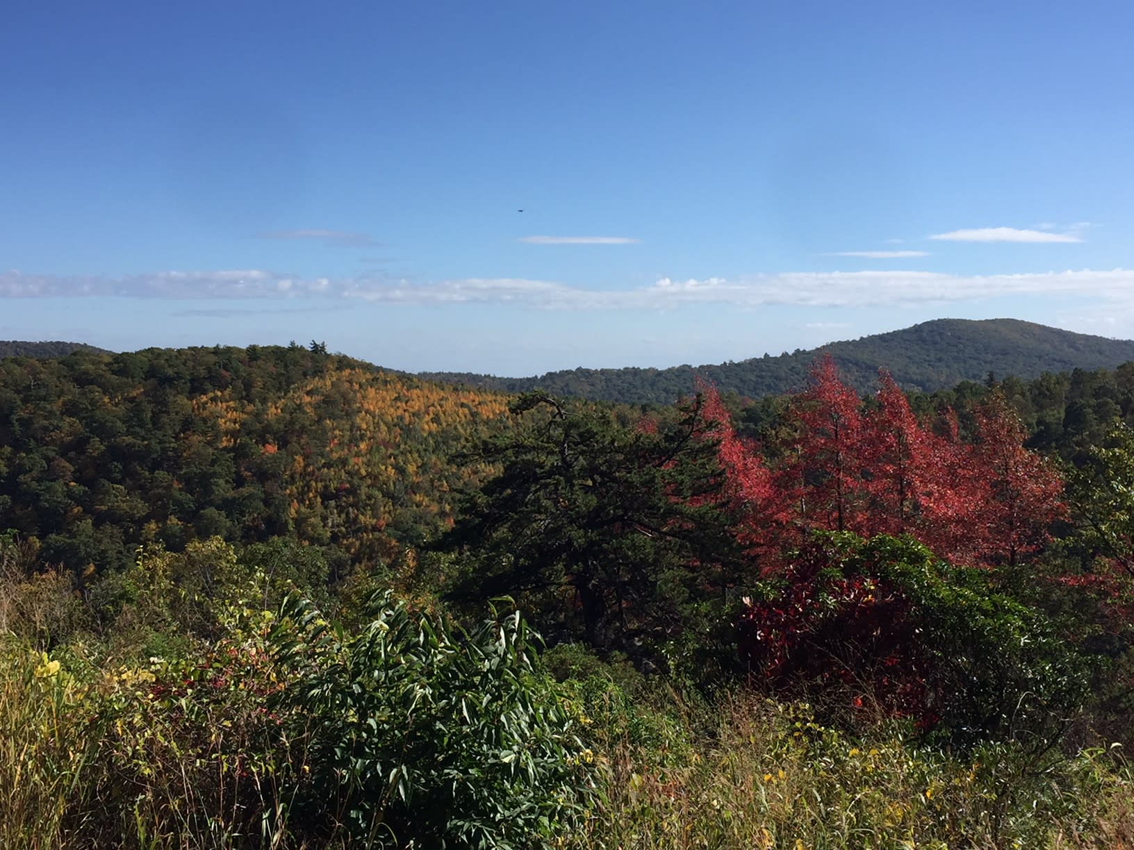 Shenandoah Skyline Fall Colors
