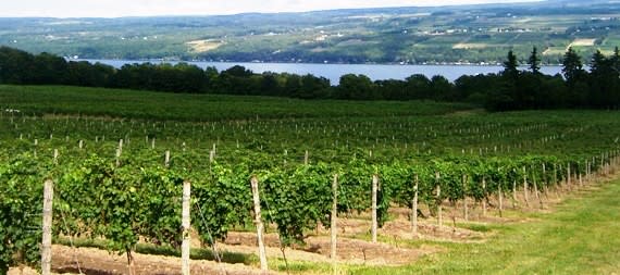 Finger Lakes Wine Touring Tips For Finger Lakes Wine Country New York