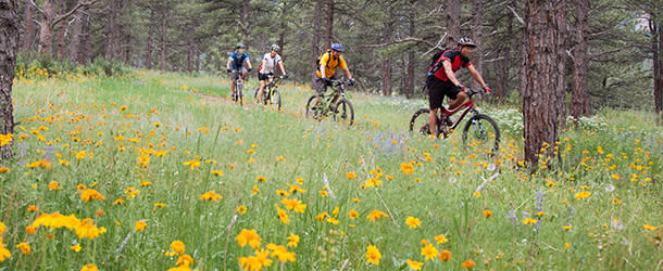 Biking Through Wildflowers Boulder