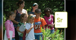 MSU Science Festival Lansing, MI