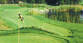Lansing Michigan Golf at Little Hawk