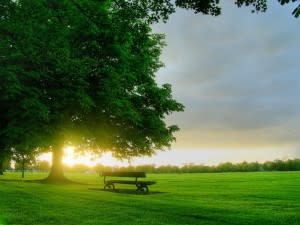 When spring comes we get the outdoors back! Grab a friend, find a park, put down a blanket and wah-lah - We've got Spring!