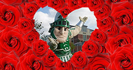 2014 Rose Bowl