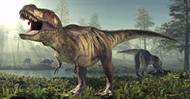 Tyrannosaurus rex dinosaur