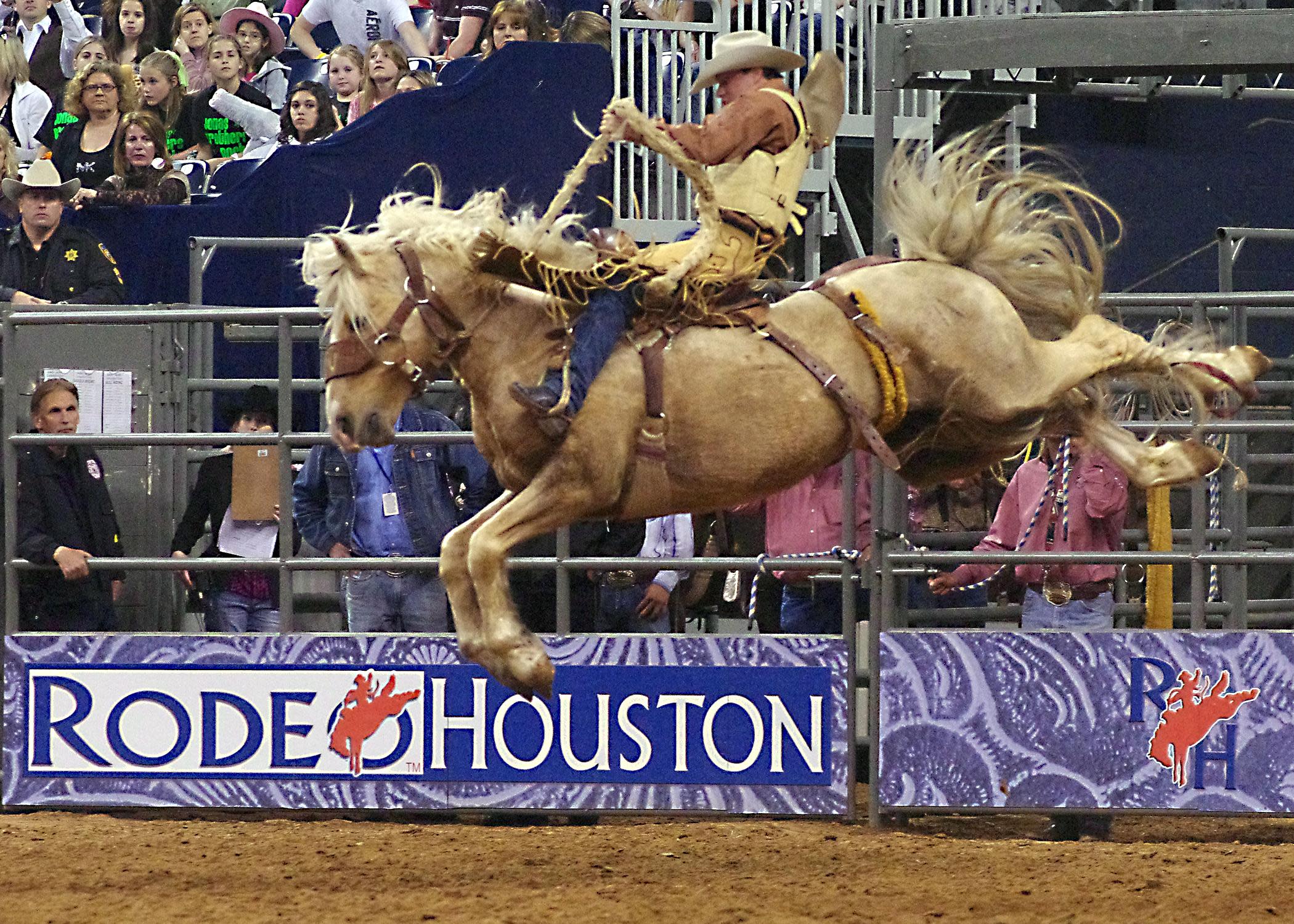 Houston Livestock Show and Rodeo