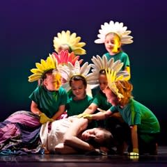 Fort Wayne Dance Collective