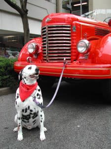 Fire Fighters Museum