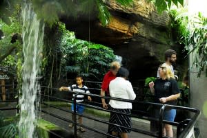 Botanical Conservatory Fort Wayne