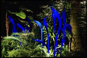 Chihuly's Blue Herons Courtesy Franklin Park Convservatory, photo by T. Rishel