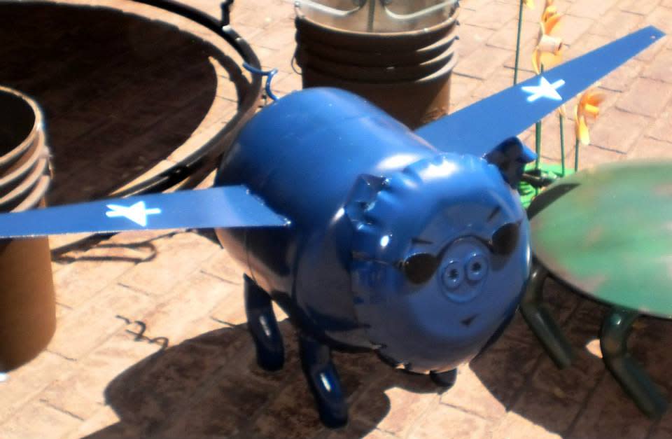 pig plane