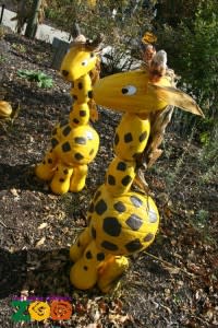 Giraffe Pumpkins