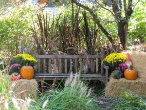 A restful bench, so you can sit and enjoy autumn!