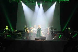 Mannheim Steamroller copy