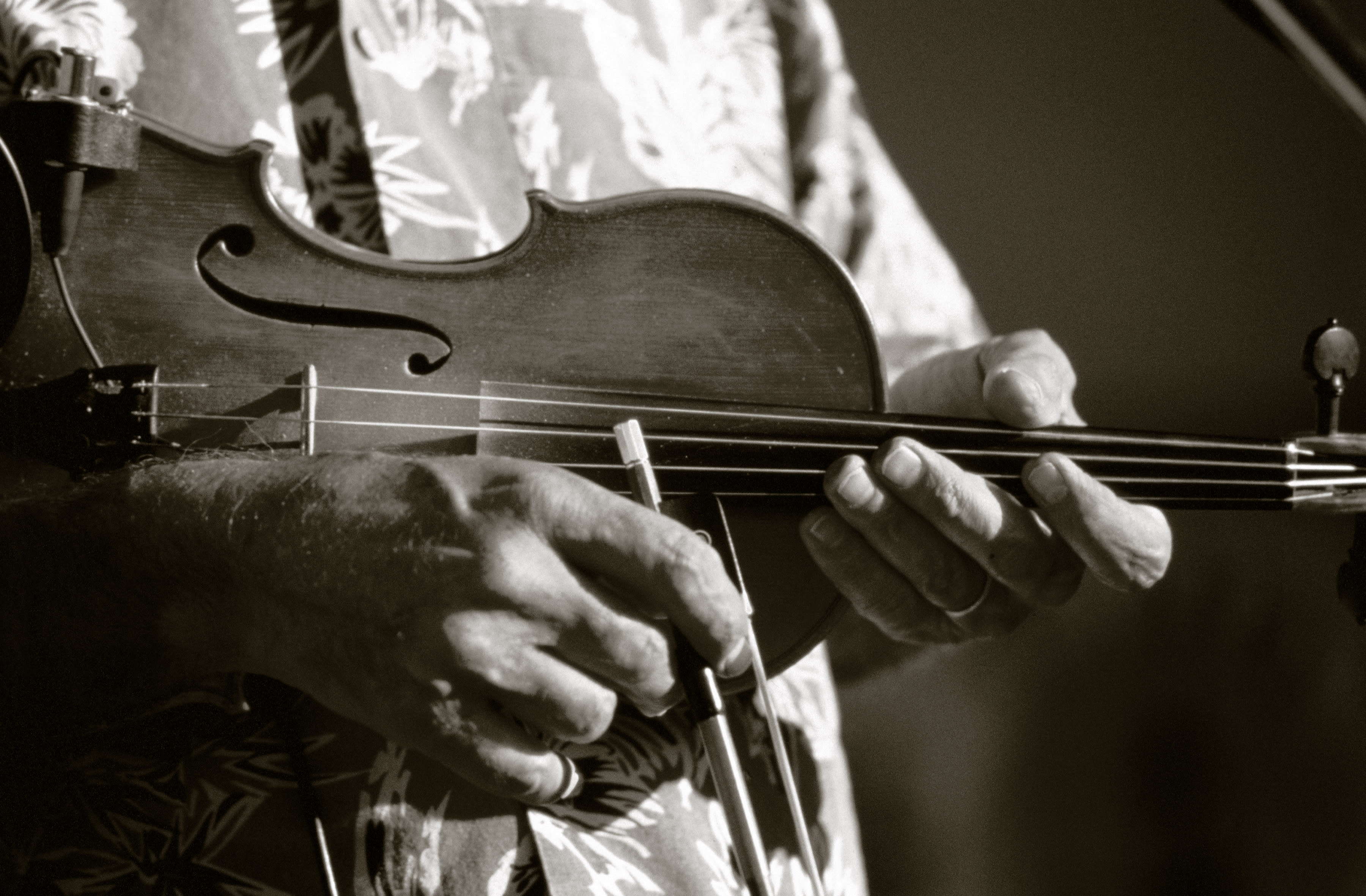 Black & White Photo of a Violin Player