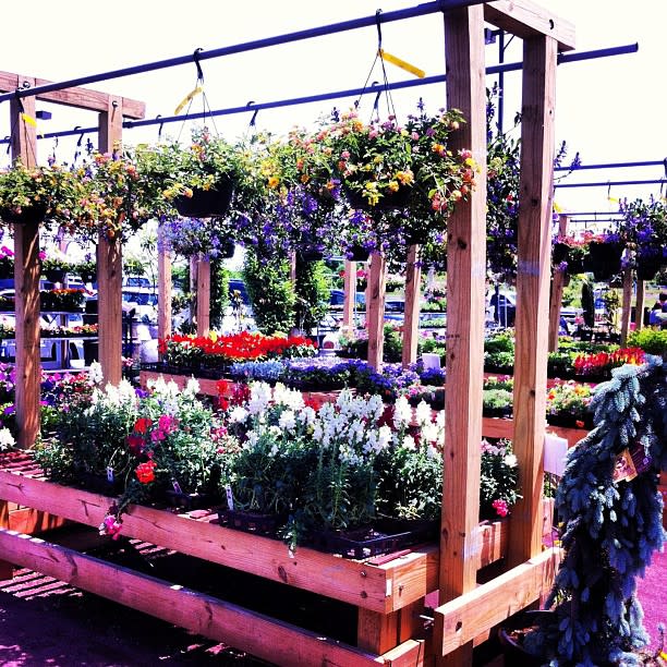 Captured by Instagram User @dayittleone1987