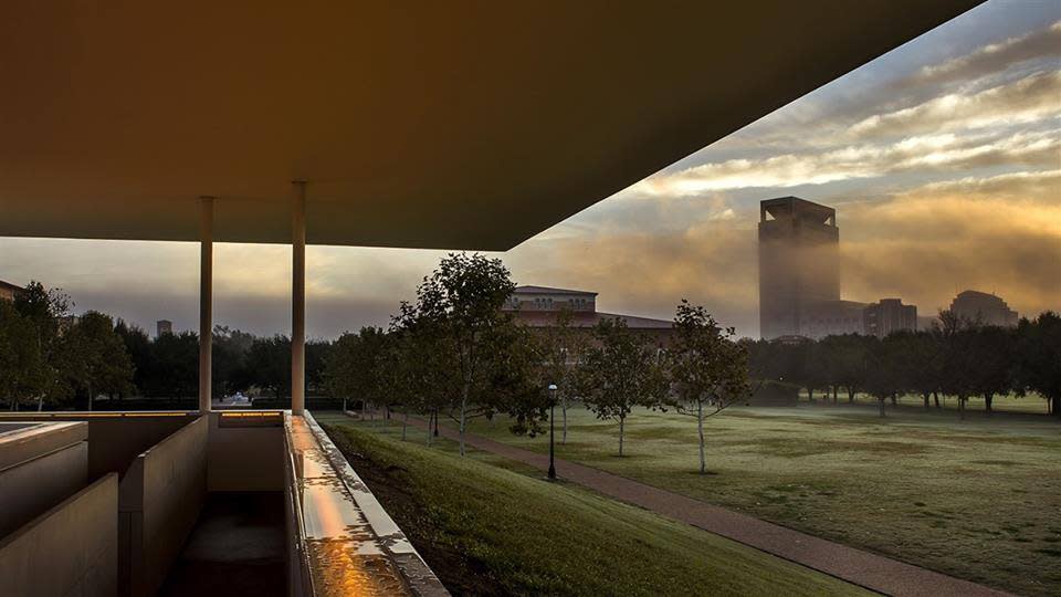 rice university