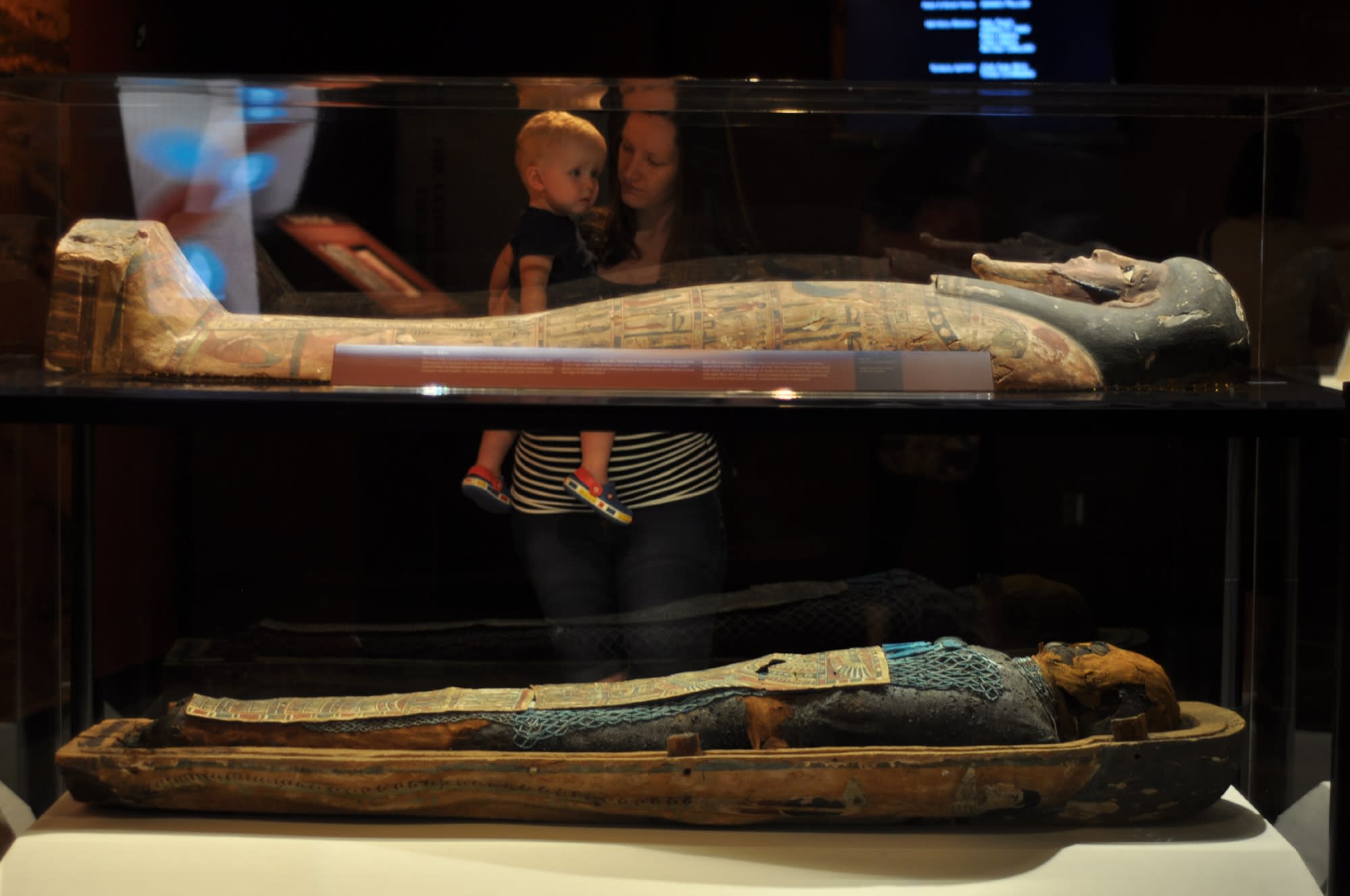 mummies of the world hmns