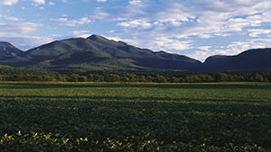 Algonquin Mountain and Indian Pass Algonquin Mountain and Indian Pass