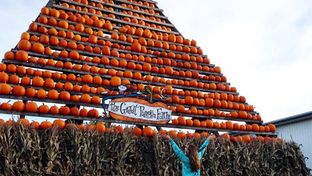 Pumpkin tower at the Great Pumpkin Farm Fall Festival