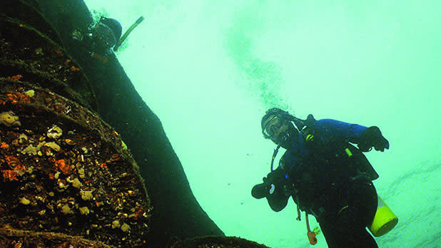 Scuba Diving St Lawrence Seaway - Photo by NYS ESD