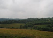 Trexler Nature Preserve