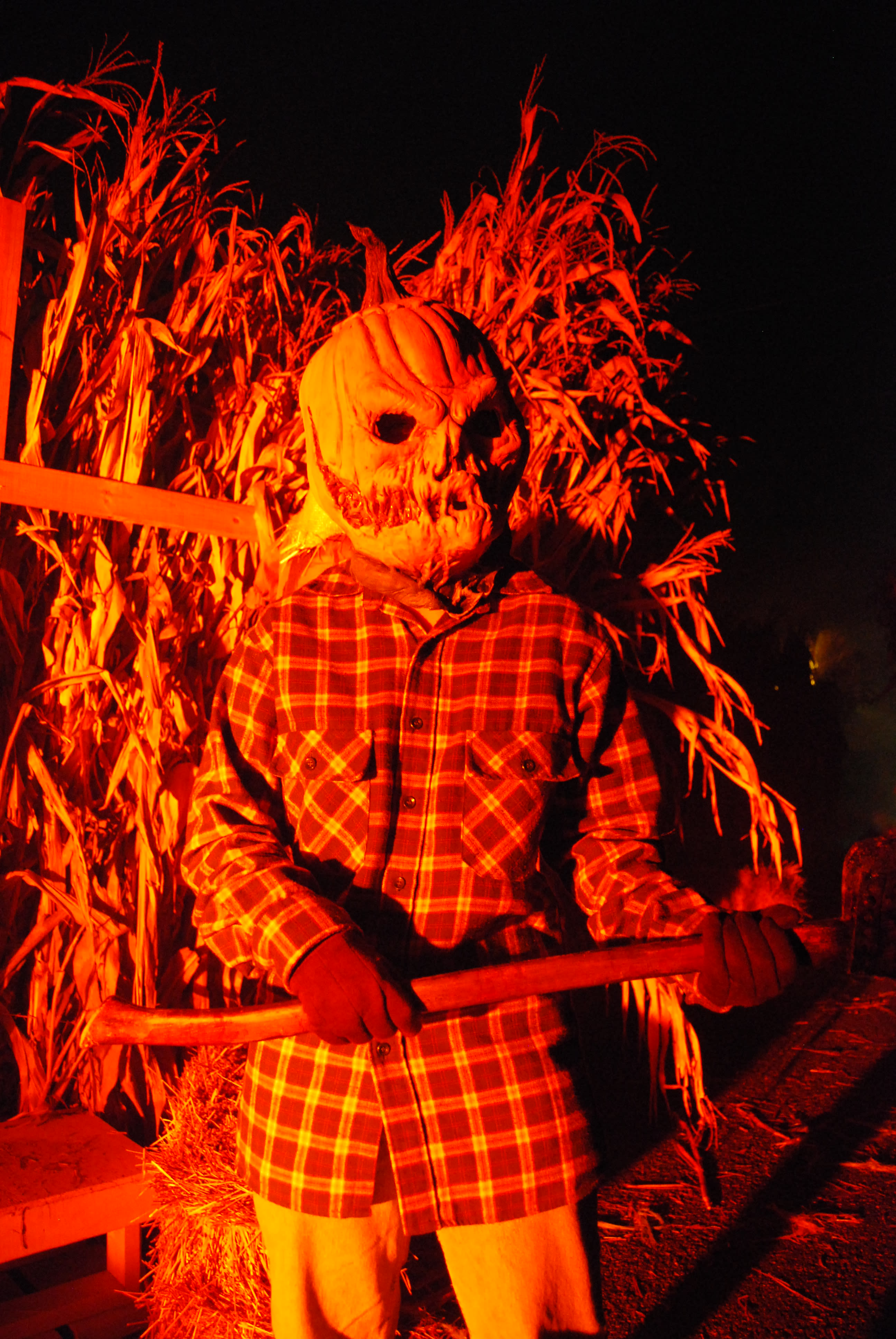 The Haunt at Dorney Park is a Thriller!