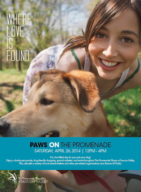 Some Pet Friendly Ideas in Lehigh Valley for Spring