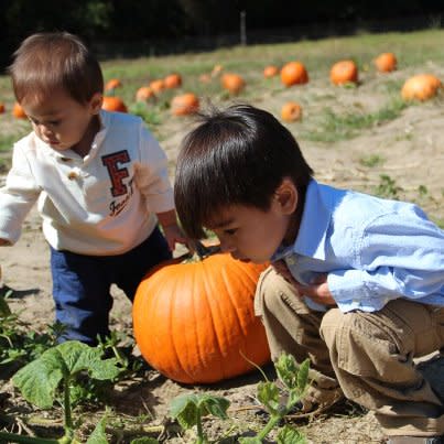 Boys in a Pumpkin Patch