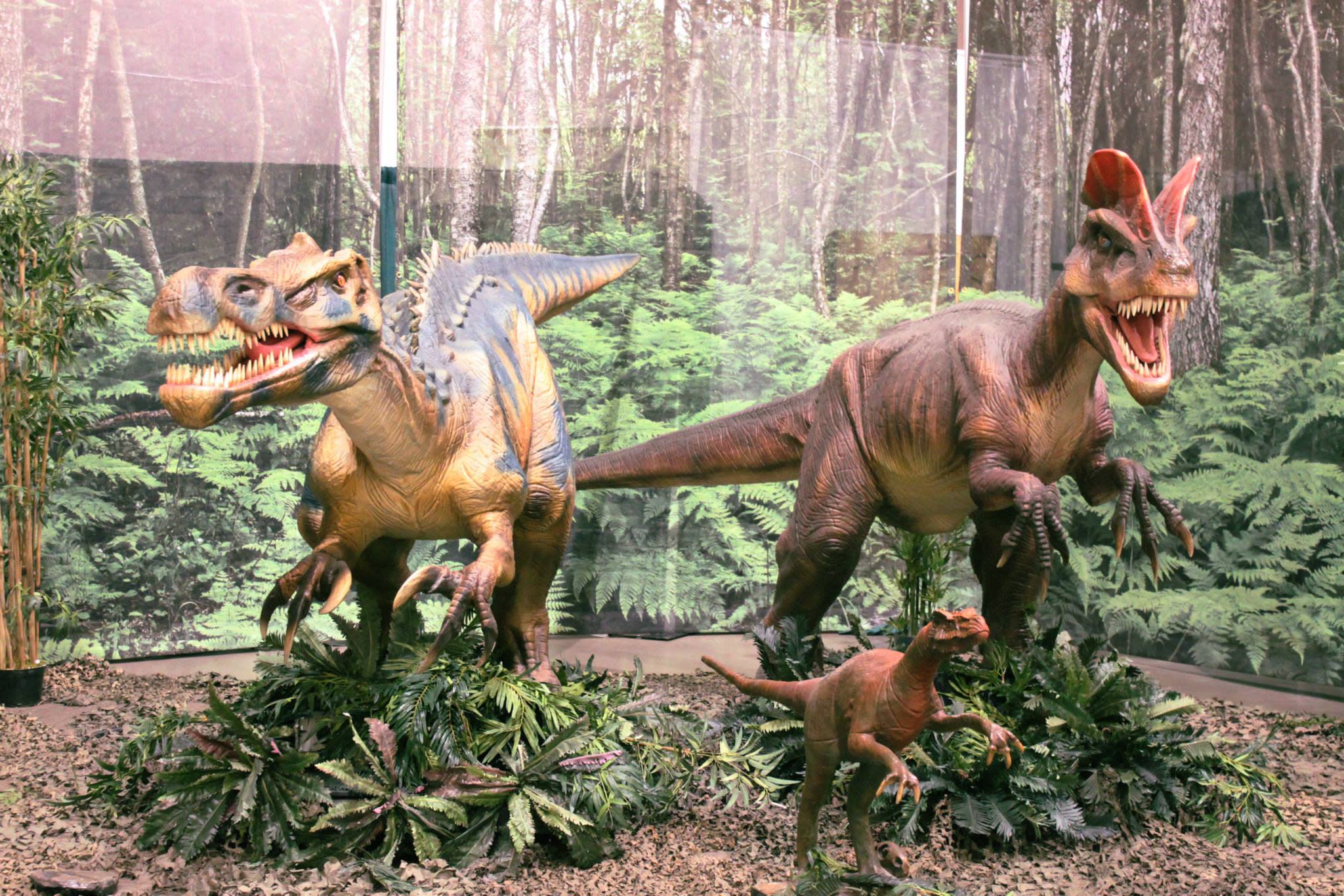 Discover the Dinosaurs is a sprawling exhibit of dinosaurs, fun and more at the Columbia Metropolitan Convention Center July 4-6, 2014.