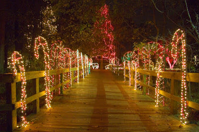 Riverbanks Zoo Christmas Lights 2022 Lights Before Christmas Shine At Riverbanks