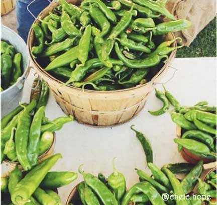 Fresh green chile in Albuquerque Fresh green chile in Albuquerque