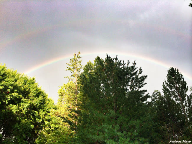 Rainbow at Summer Nights - Adrienne Meyer