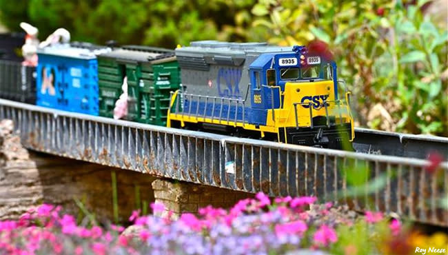 A model train chugs through the foliage at the ABQ BioPark's Railroad Garden. Volunteers from the New Mexico Garden RailRoaders Club maintain two 400-foot loops of G-gauge trains