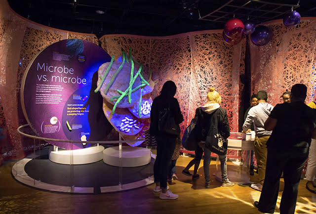  Secret World Inside You exhibit at the North Carolina Museum of Natural Sciences