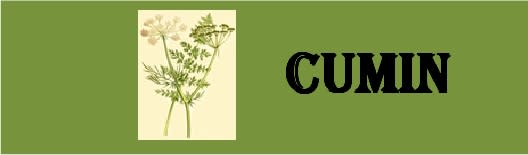 Cumin