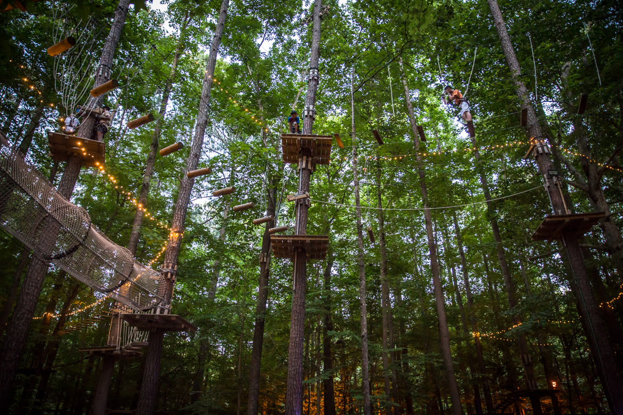 Zipline In A Forest In Virginia Beach