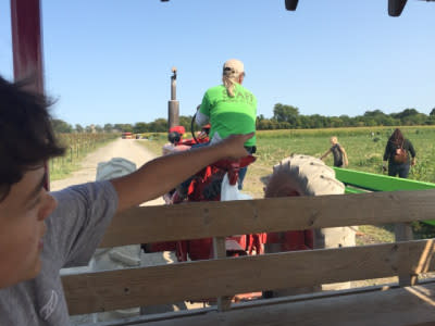 Tractor rides - County Line Orchard