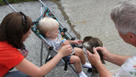 Oliver Duck Release